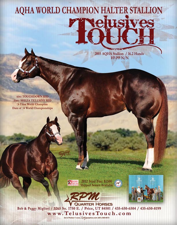 Telusives Touch - Quarter Horse Stallion